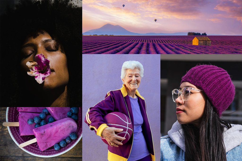 Hiển thị hình ảnh khi tìm kiếm từ khóa velvet violet photo collection